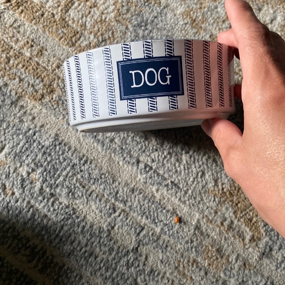 Petrageous dog dish